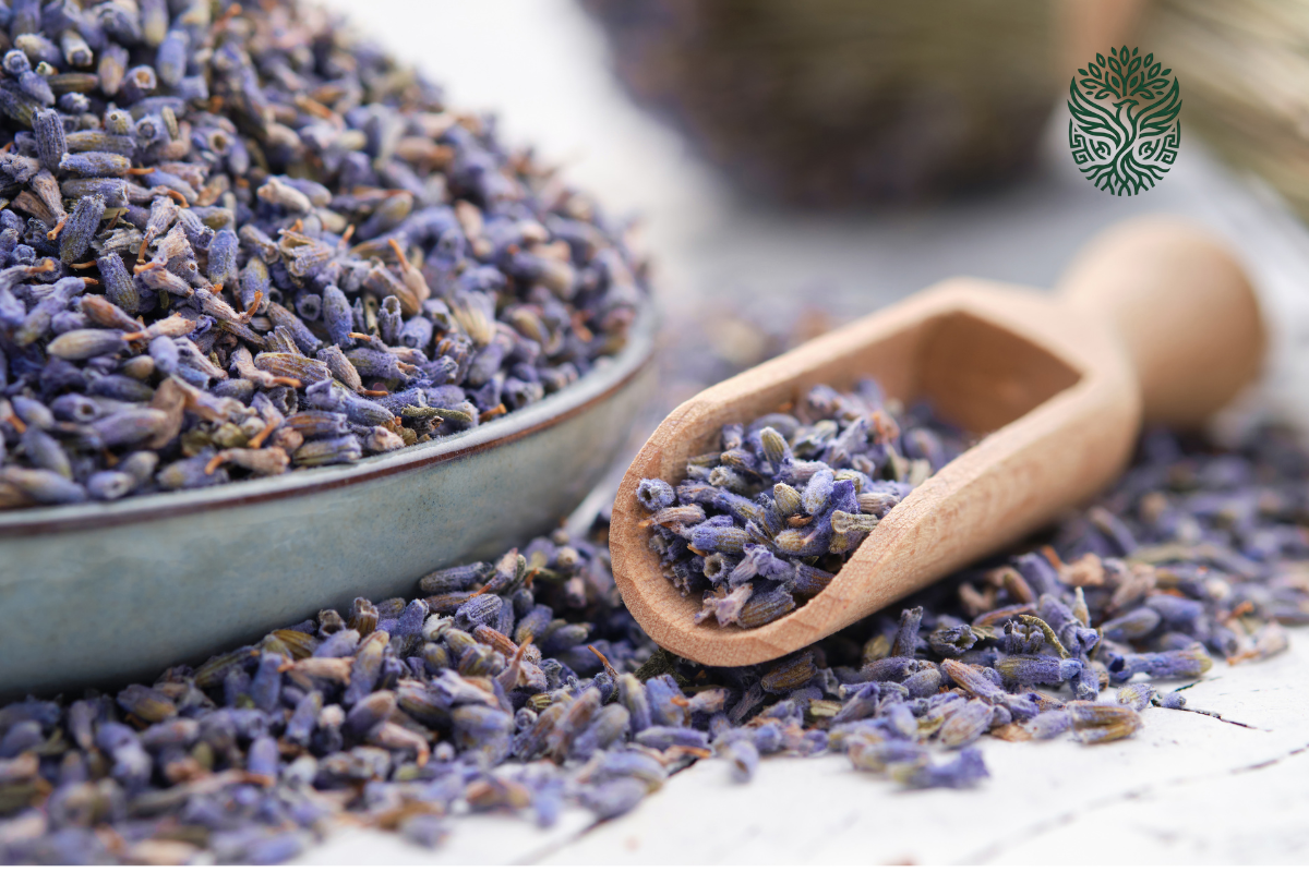 Lavanda: el aroma de la calma, de la tradición a nuestros hogares